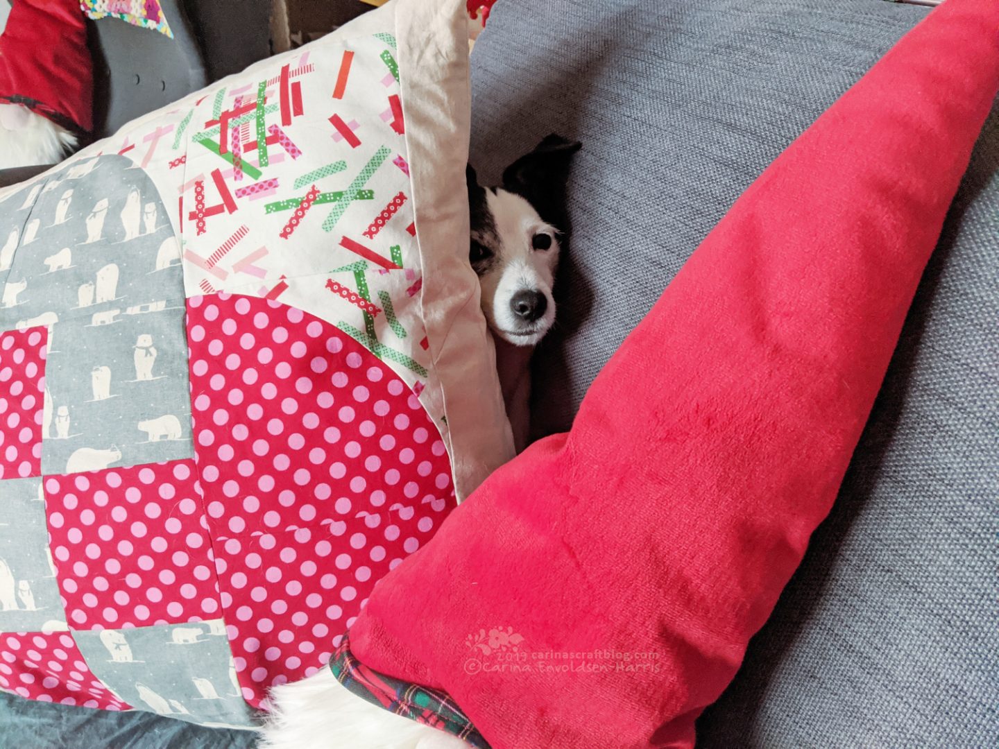 Dog face poking out from behind a big cushion.