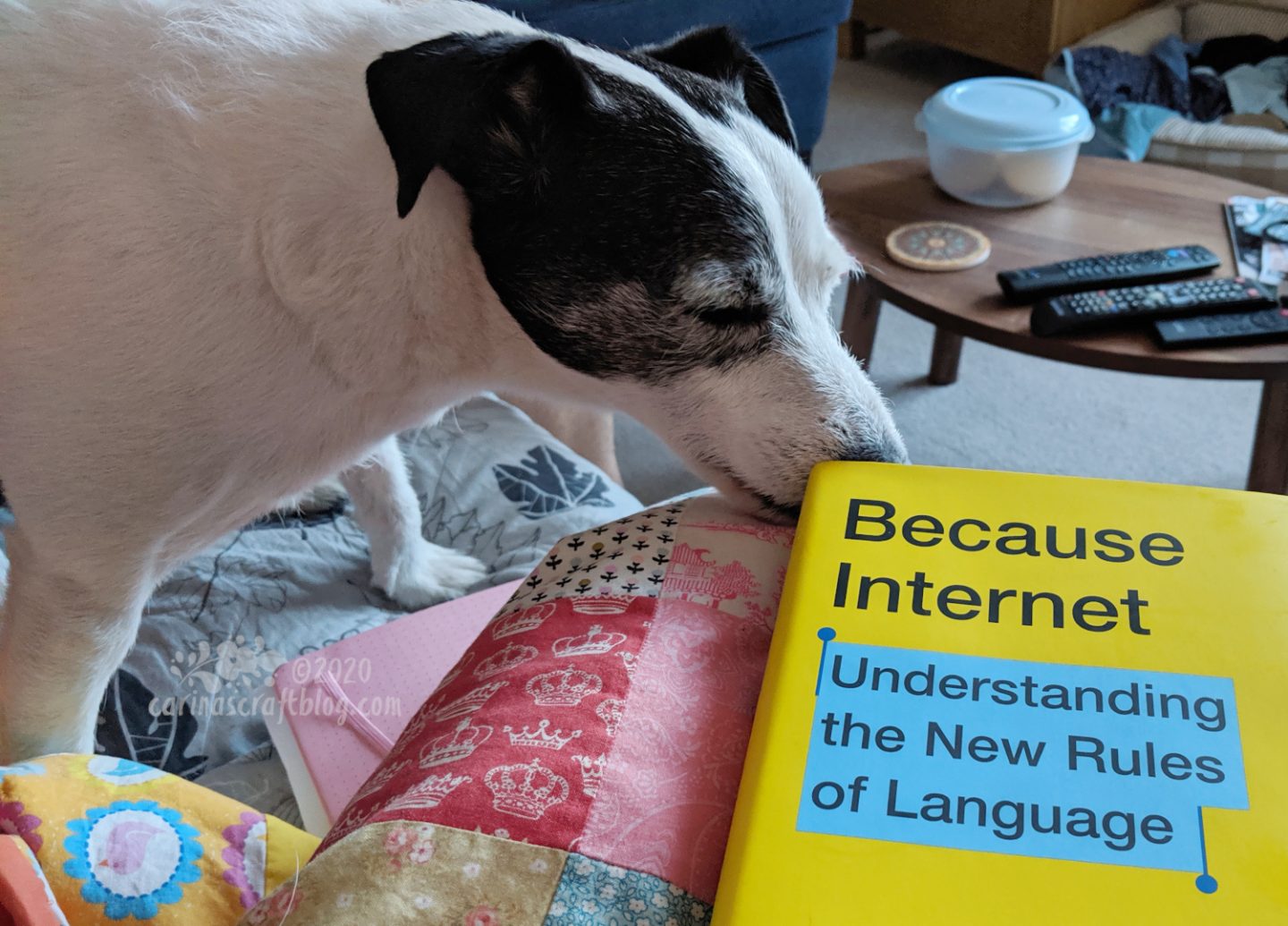 Dog sniffing the yellow cover of Because Internet.