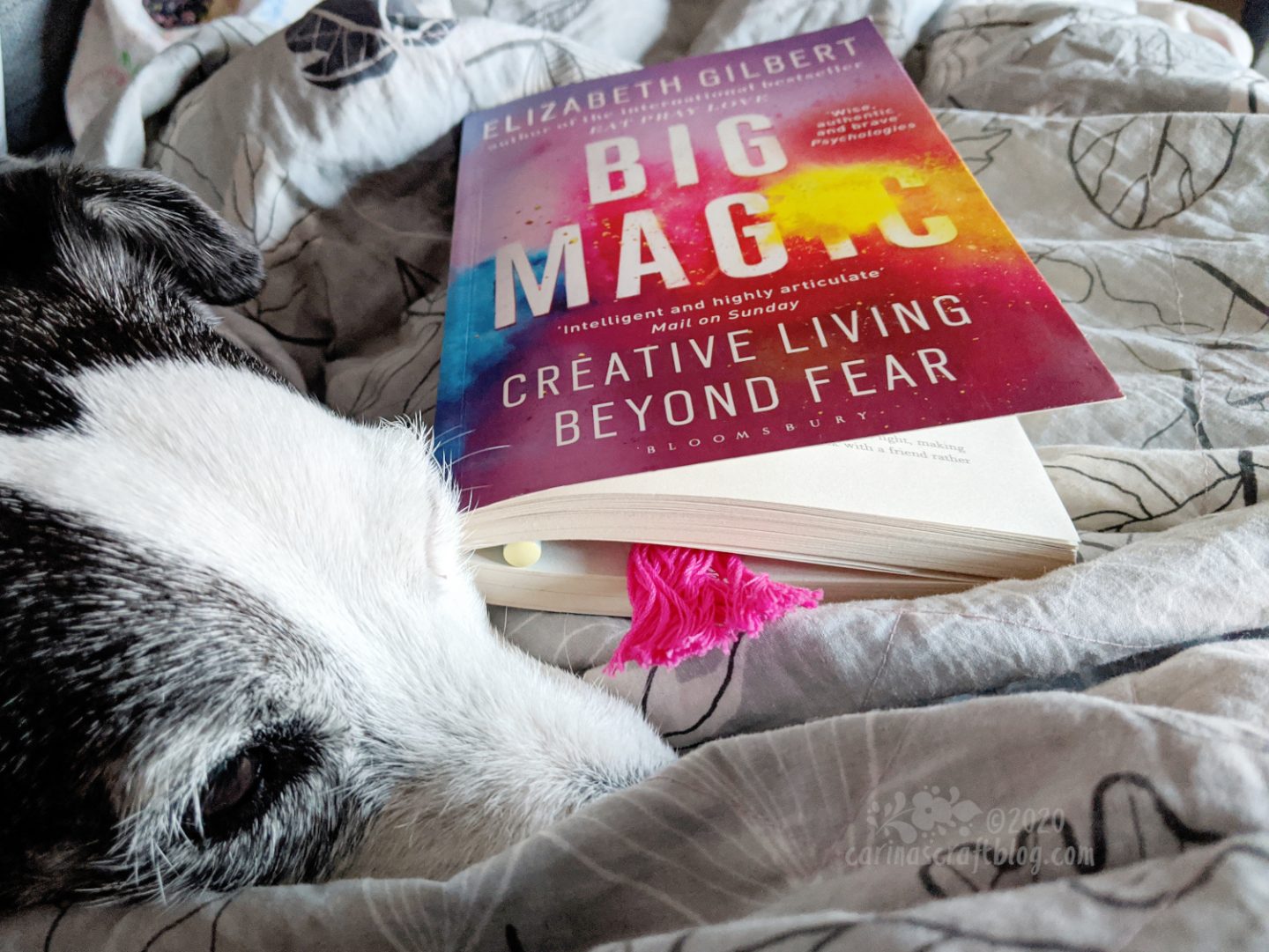 Book Big Magic next to dog